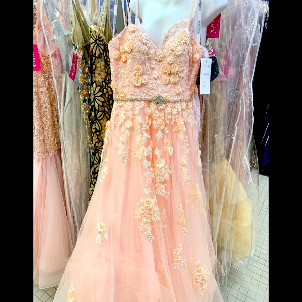 Flair New York Blush colored Embellished Tulle prom gown